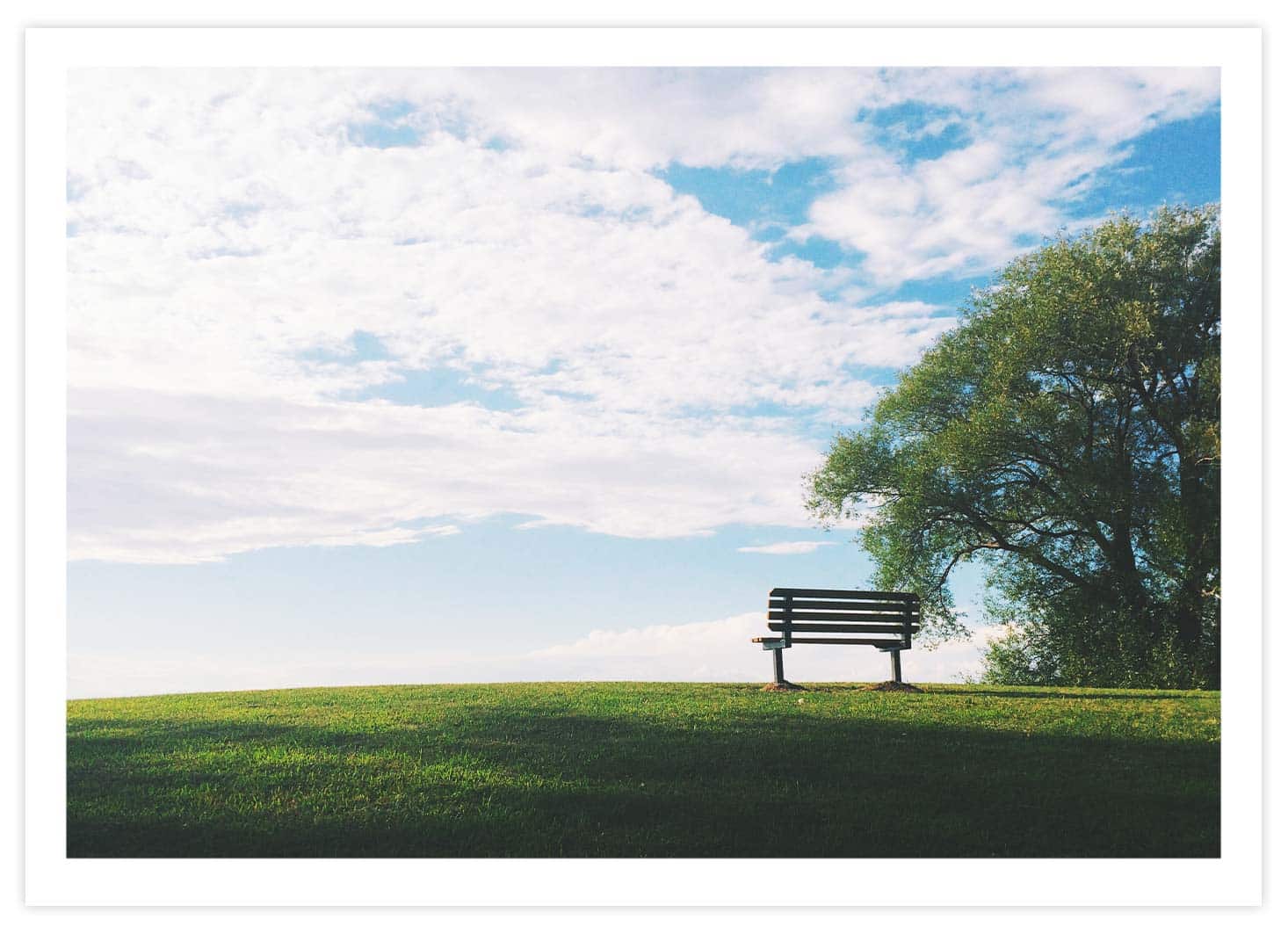 Bank in der Natur Poster Querformat mit Passepartout