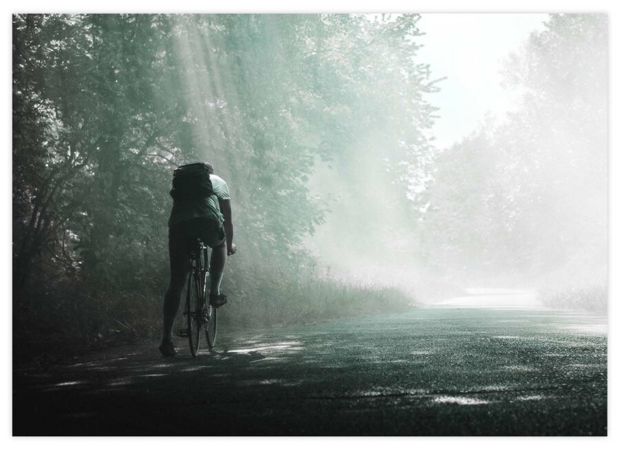 Fahrradfahrer im Wald Poster Querformat