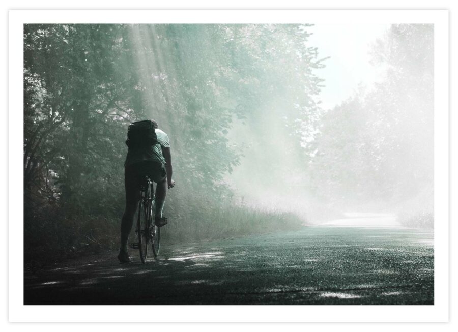 Fahrradfahrer im Wald Poster Querformat mit Passepartout