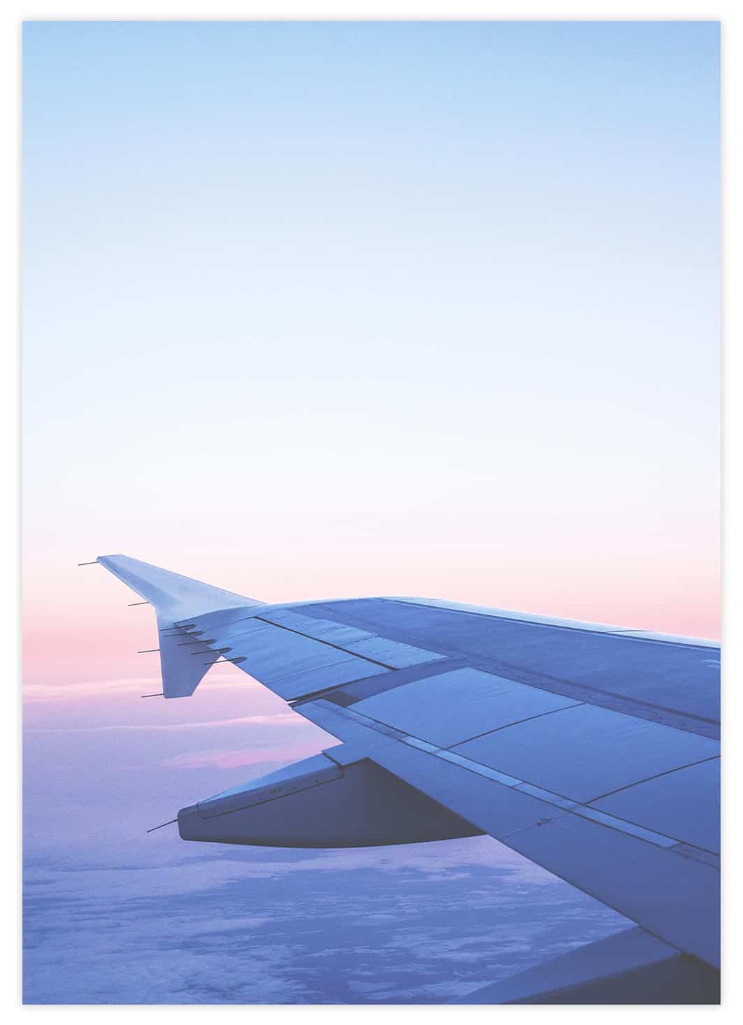 Fliegendes Flugzeug Poster
