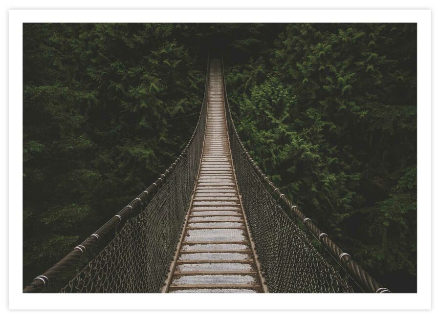 Hängebrücke im Wald Poster Querformat mit Passepartout