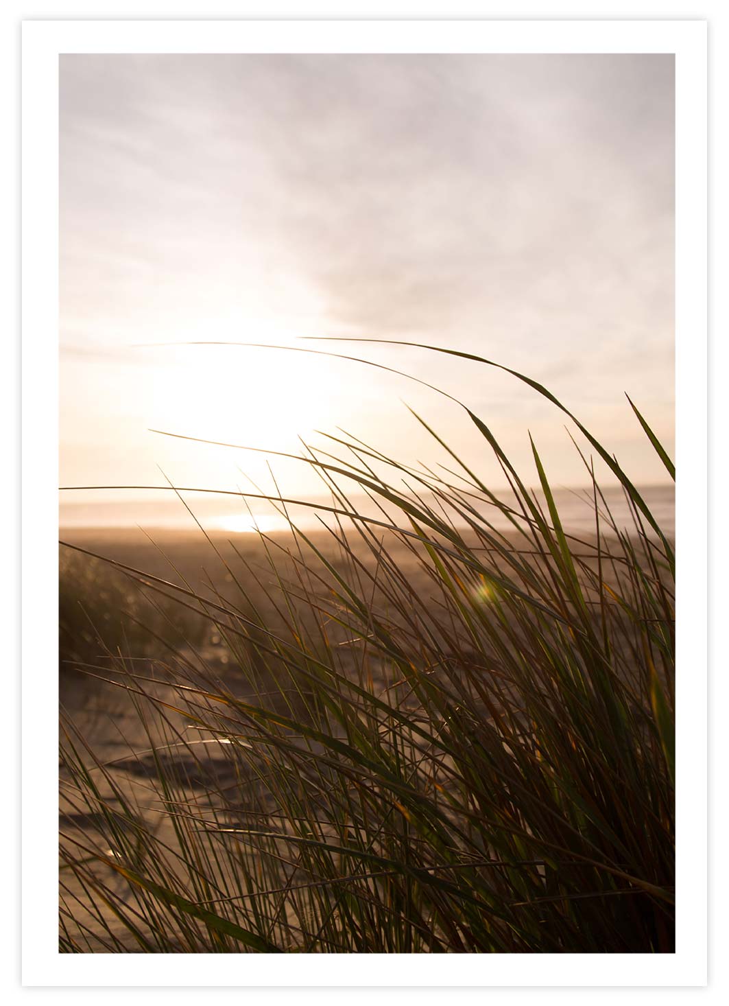 Sonnenuntergang am Meer Poster mit Passepartout