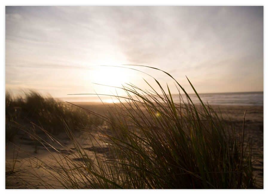 Sonnenuntergang am Meer Poster Querformat