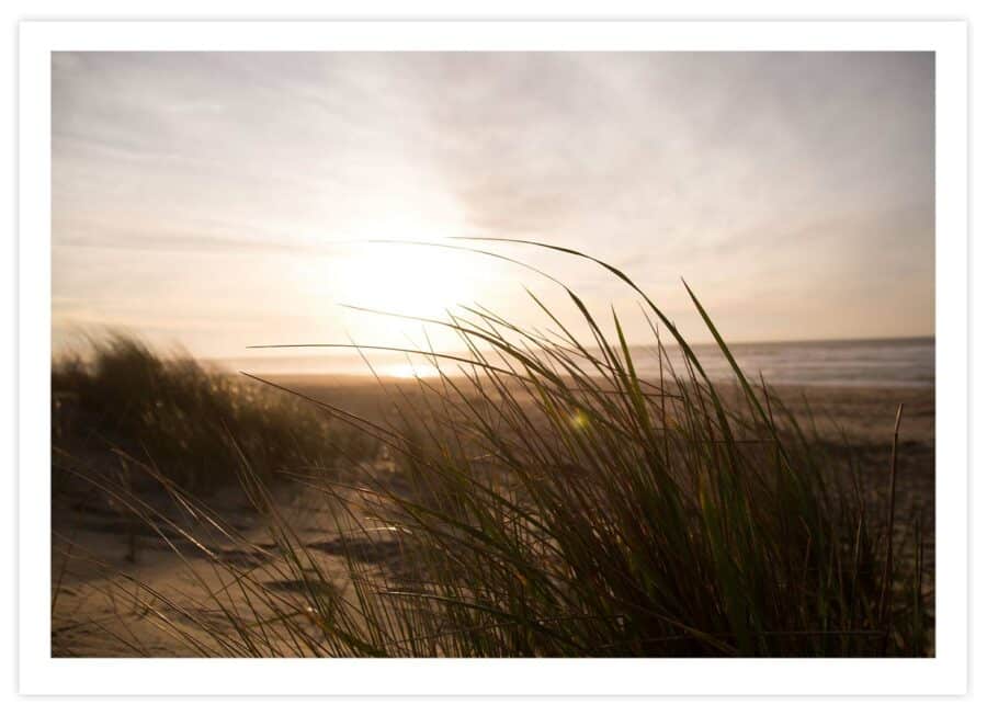 Sonnenuntergang am Meer Poster Querformat mit Passepartout