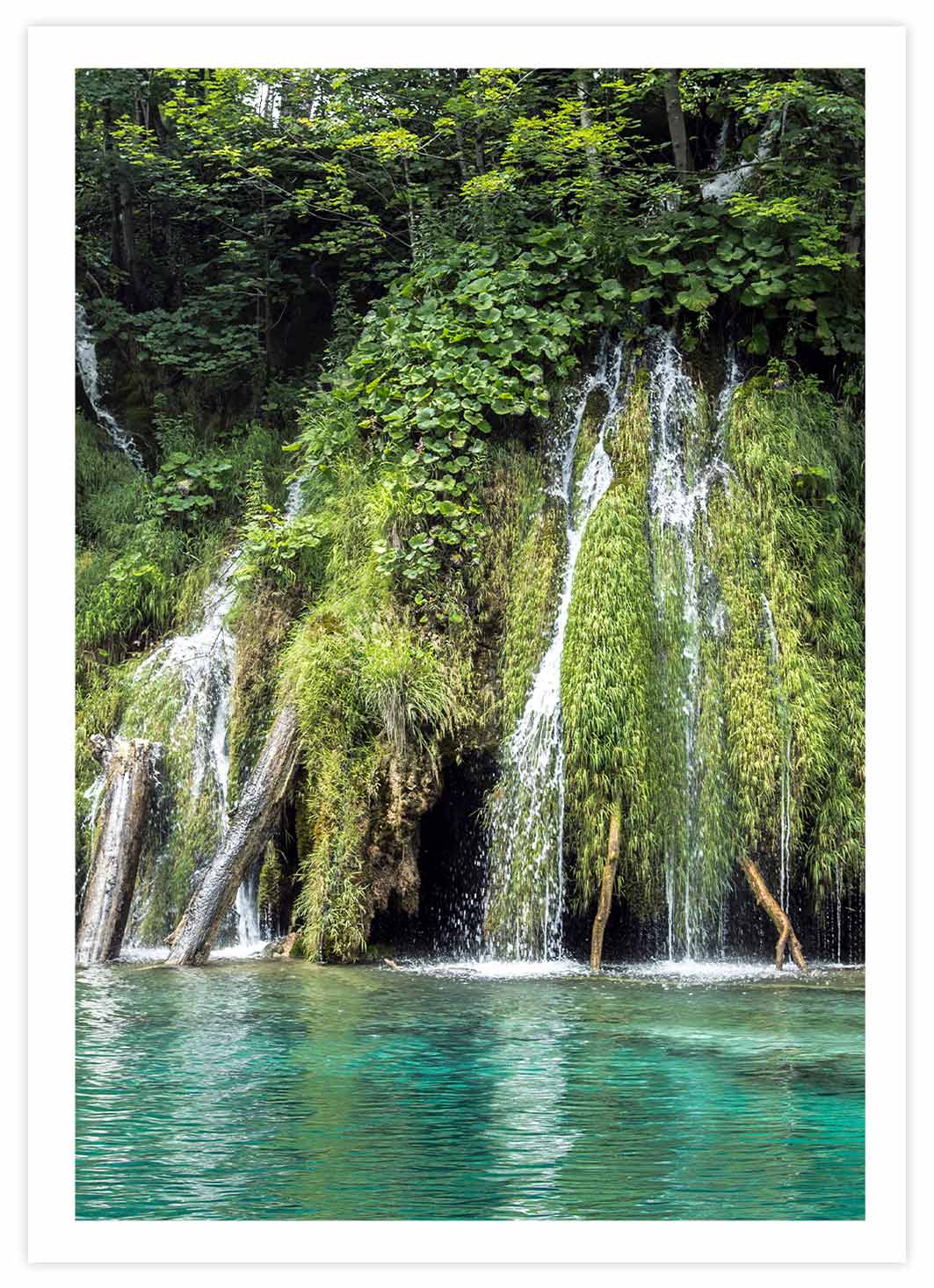 Wasserfall im Wald Poster mit Passepartout