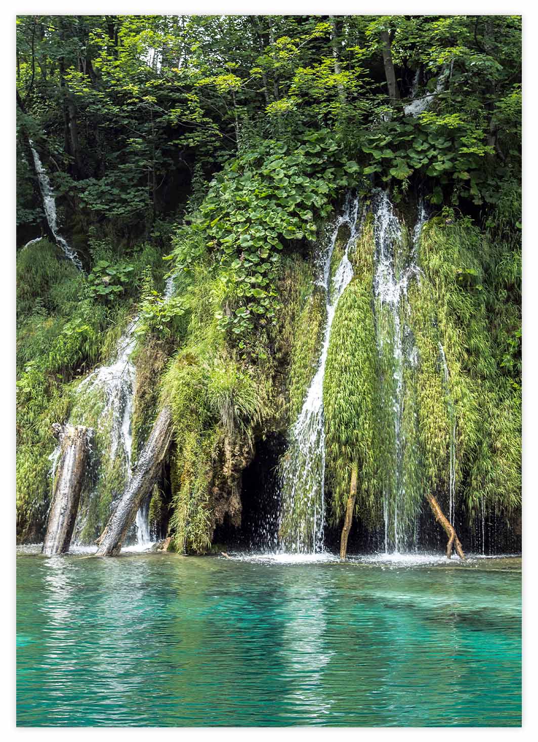 Wasserfall im Wald Poster