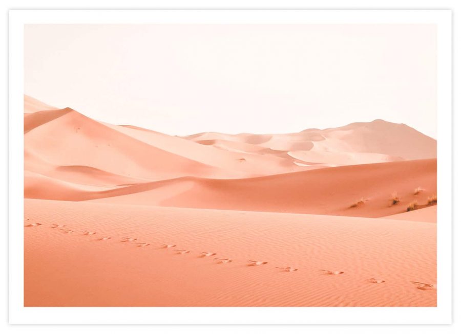 Wüste mit Fußabdrücken Poster Querformat mit Passepartout